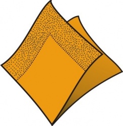 Ubrousky 2-vrstvé, 33 x 33 cm oranžové [250 ks]