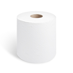 Papírové utěrky s ražbou, 2vrstvé (PAP- FSC Mix)  prům18cm, 19cm x100m, 400 útržků [6 ks]